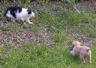 5 Woche - ich Fabio und Kater Peppino