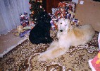 akme na dareky - Vianoce 2001!