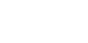 Logo NetSpace